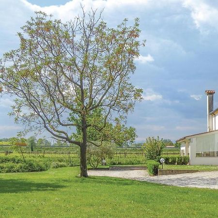 Vila Casa Di Mamy Sant'Elena di Silea Exteriér fotografie